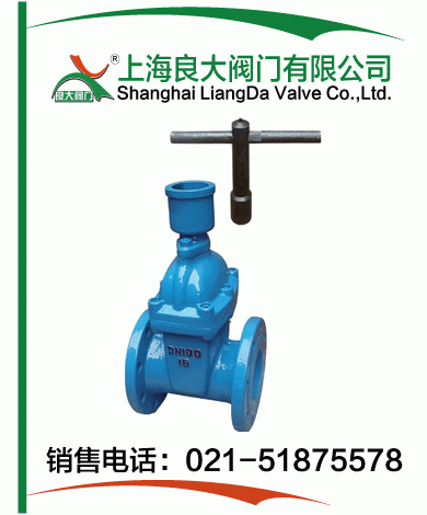 防盗软密封闸阀